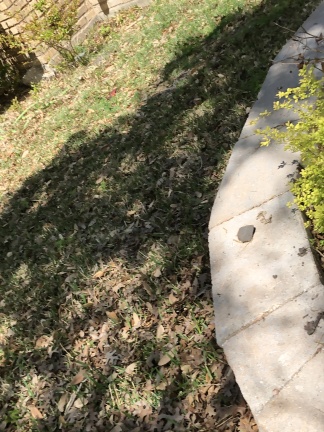 IMG 0902